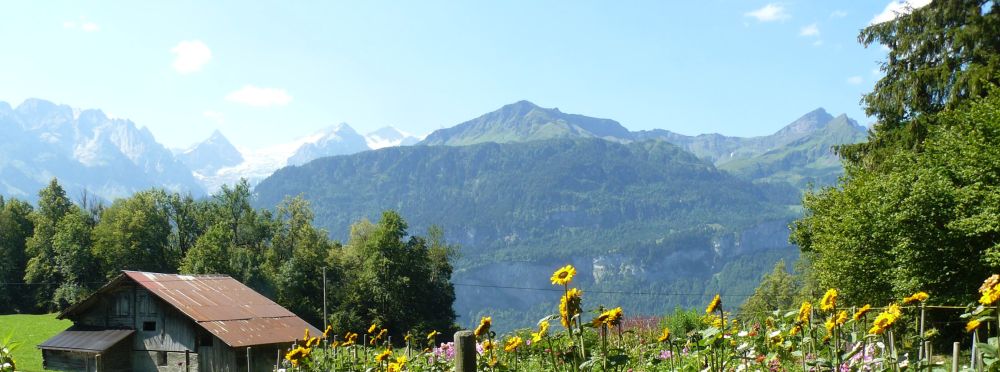 Berner Oberland Impressionen