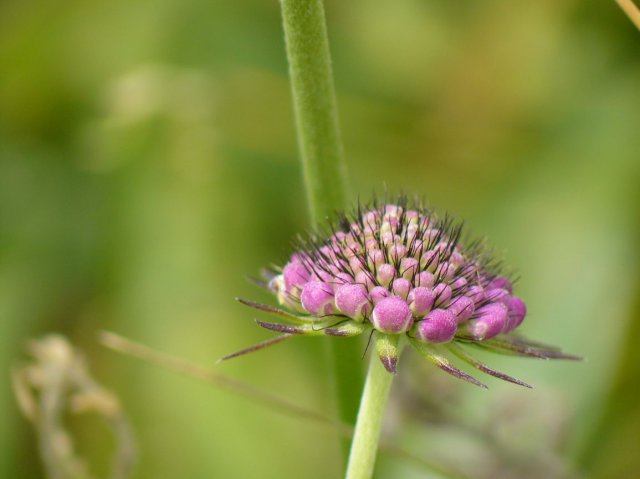 p1030424k