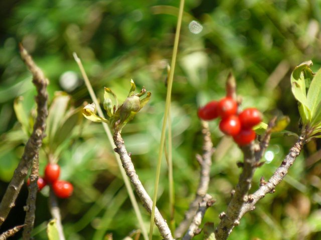 p1030458k