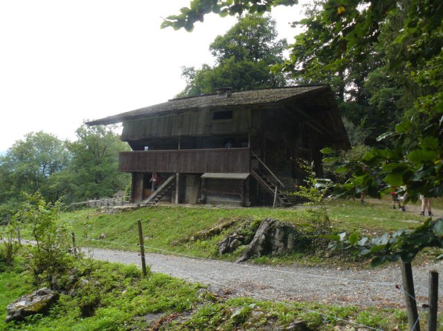 p1030523k