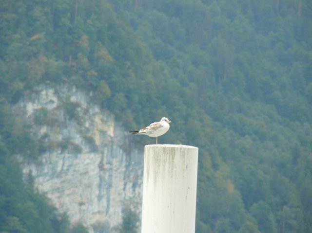 p1040149k