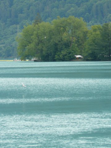 p1040225k