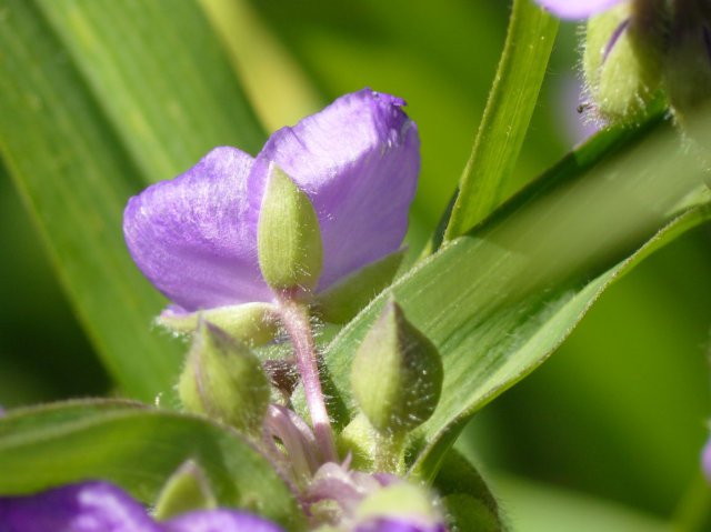 p1040252k