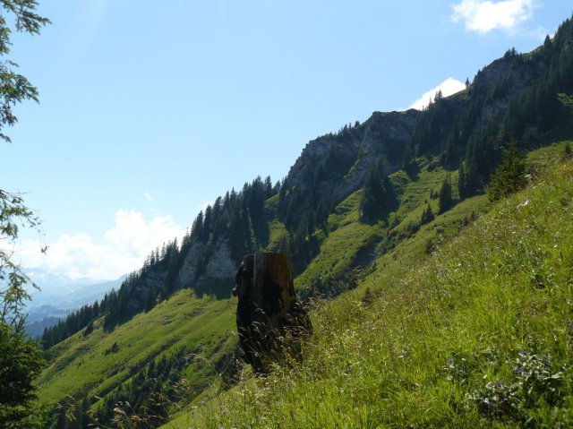 p1040273k