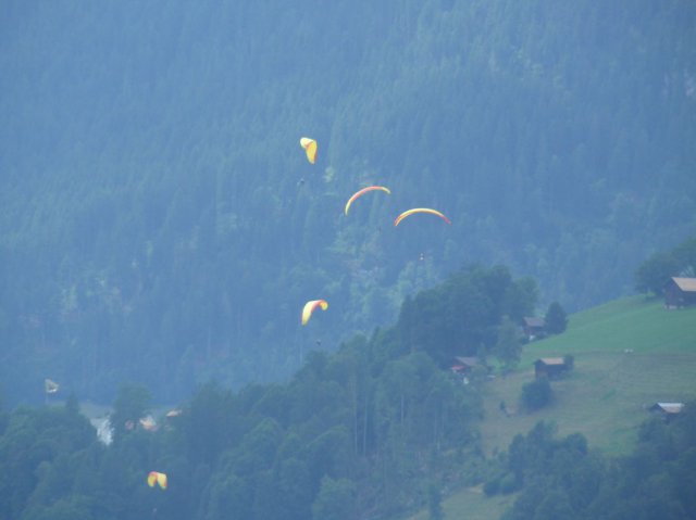 p1040467k