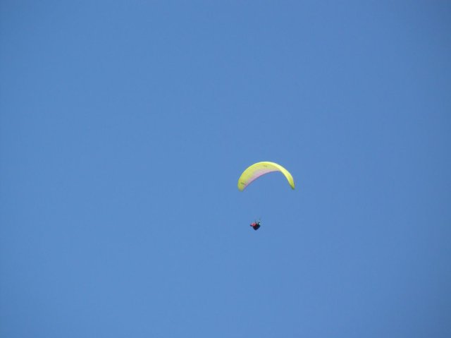 p1040496k