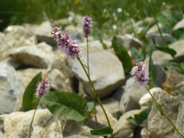 p1040642k