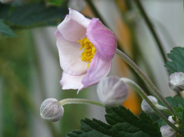 p1040746k