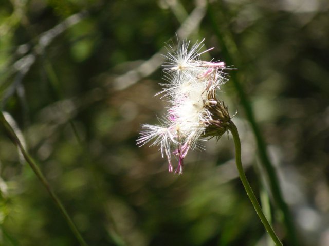 p1040794k