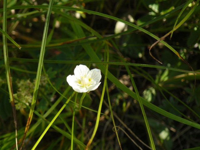 p1040798k